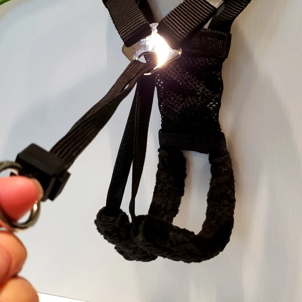 Dog harness, no pull